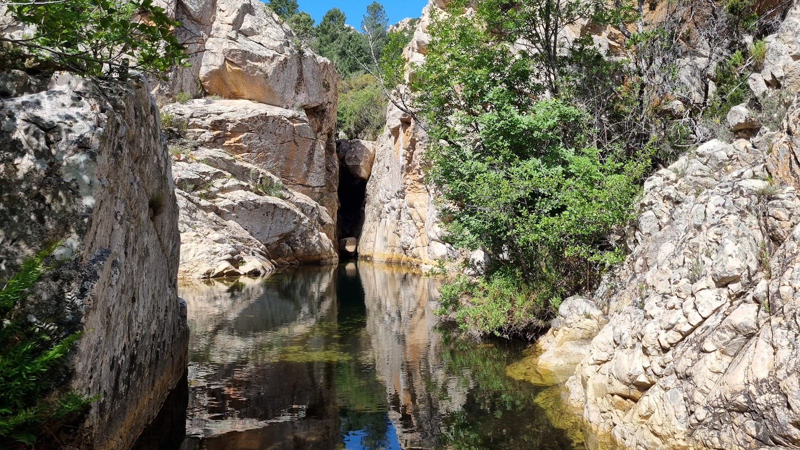 Piscina naturale