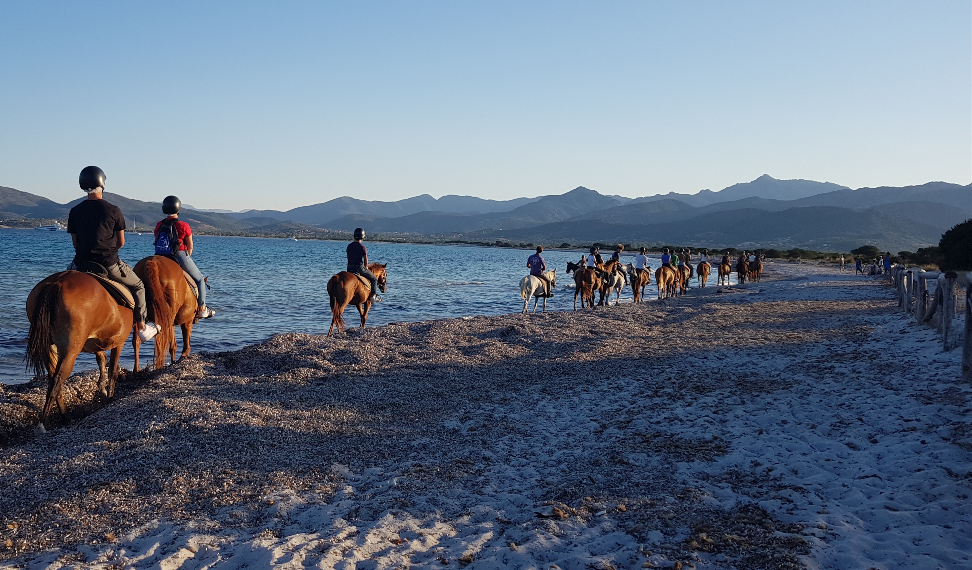 Cavalli in fila sulla riva de La Cinta