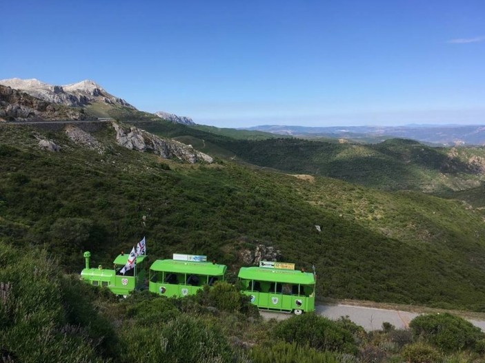 Trenino verde in mezzo alla natura incontaminata